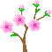 桃の花のアイコン